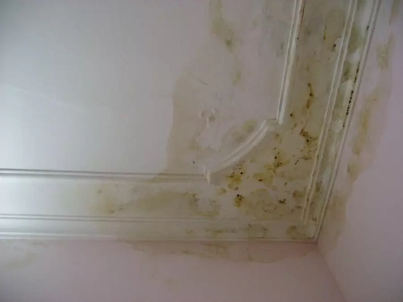 Tường bị thấm ẩm mốc trong mùa nồm tại Hà Nội (photo: vinhtuong)